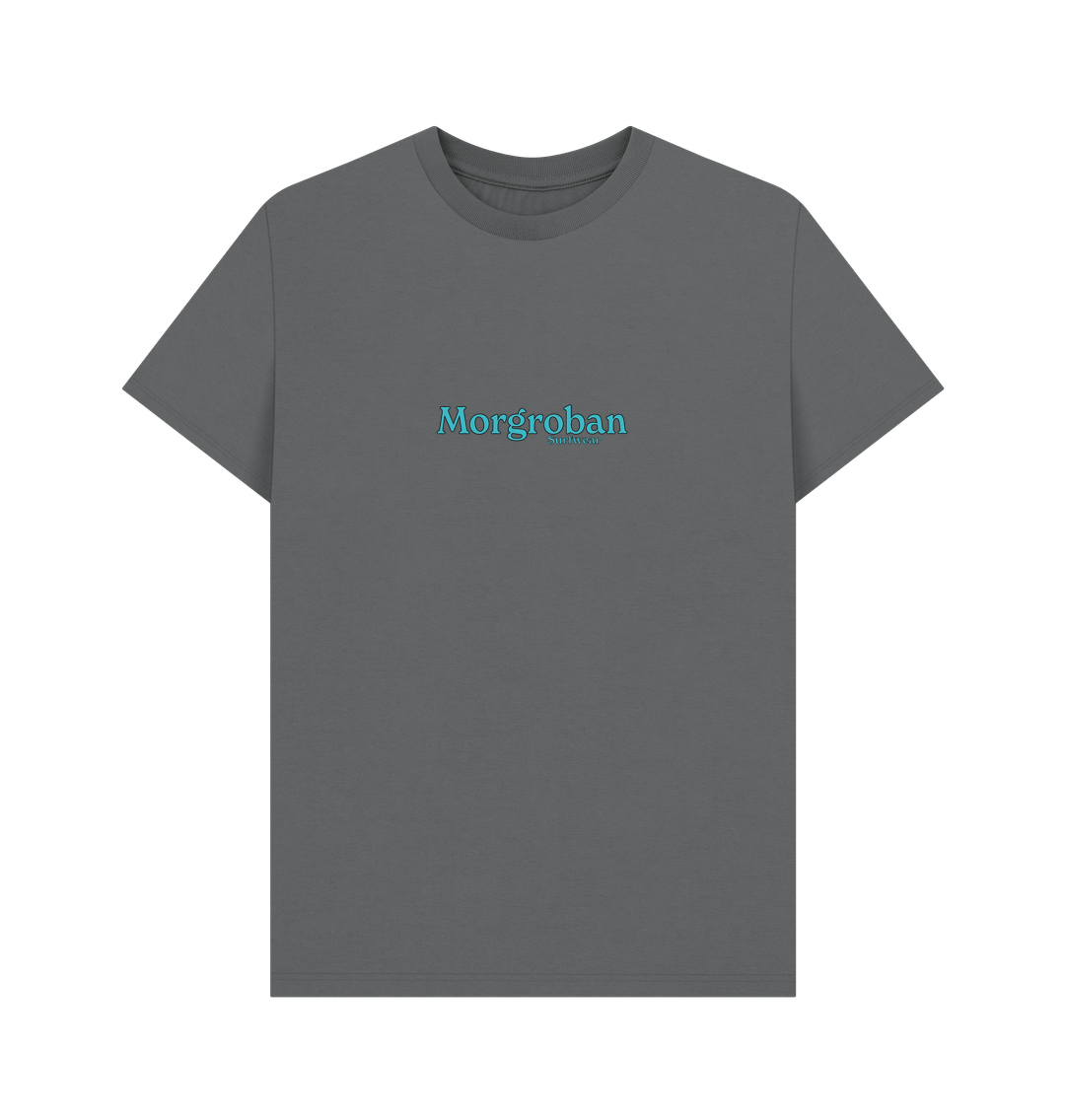 Slate Grey Blue Bottle Tee